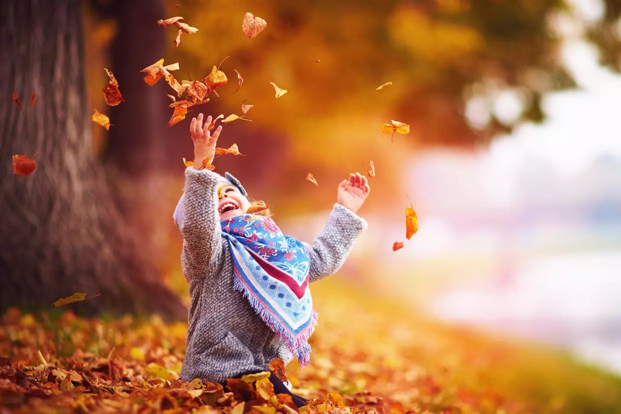 Automne