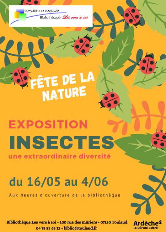 Expo : Insectes, une extraordinaire diversité