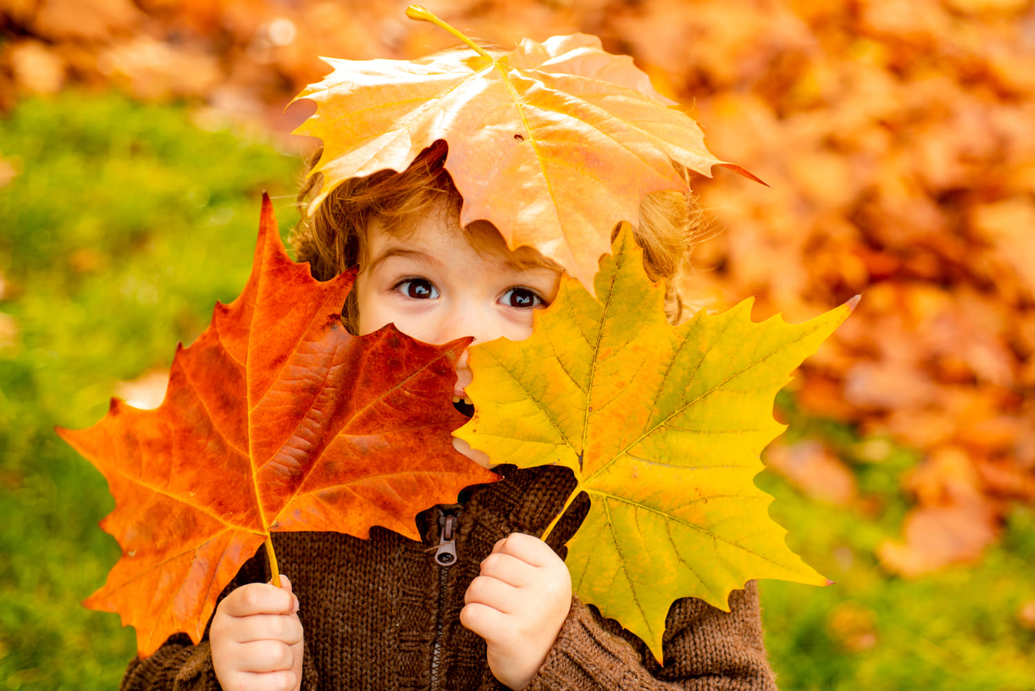 Centre de Loisirs automne 2023